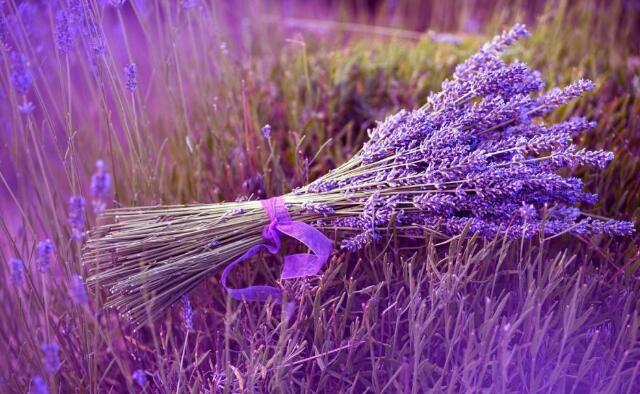 「一世沉心」你永远都等不到，那个不可能爱你的人！