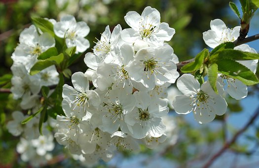 【生活万万千】清晨励志好句子，送给拼搏的您，请用今天的努力让明天没有遗憾