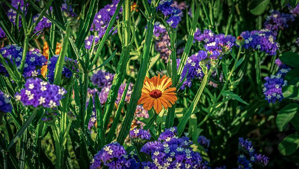 【生活万万千】清晨励志好句子，送给拼搏的您，请用今天的努力让明天没有遗憾