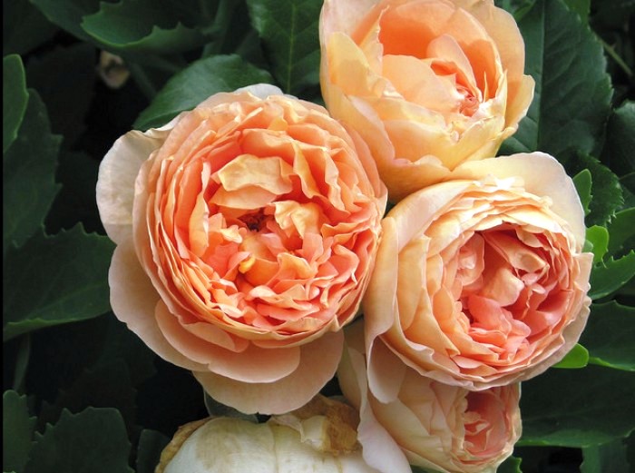 生活万万千@内涵深刻的经典说说，沁人心脾，耐人寻味