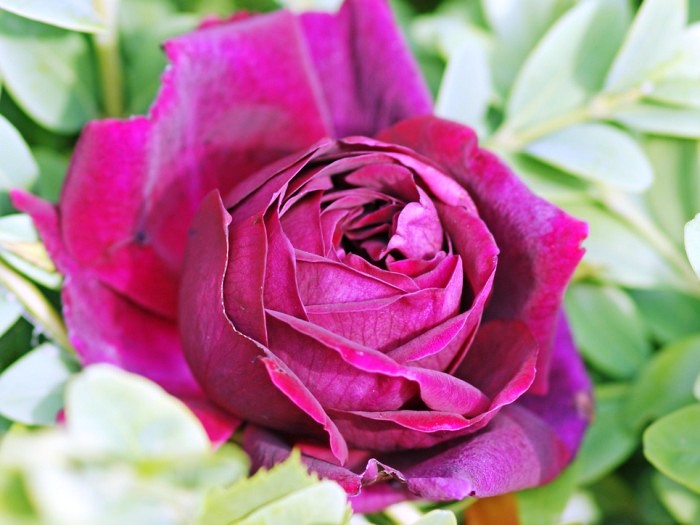 生活万万千@内涵深刻的经典说说，沁人心脾，耐人寻味