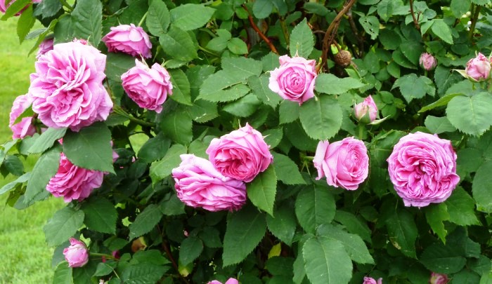 生活万万千@内涵深刻的经典说说，沁人心脾，耐人寻味