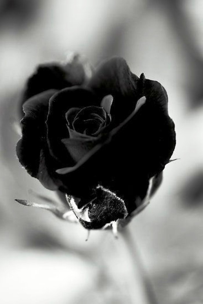 生活万万千@内涵深刻的经典说说，沁人心脾，耐人寻味