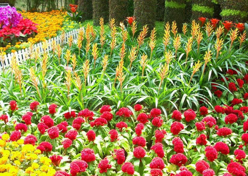 #天天励志正能量#生活或许有遗憾，要相信未来依旧美好