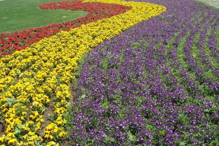 #天天励志正能量#生活或许有遗憾，要相信未来依旧美好