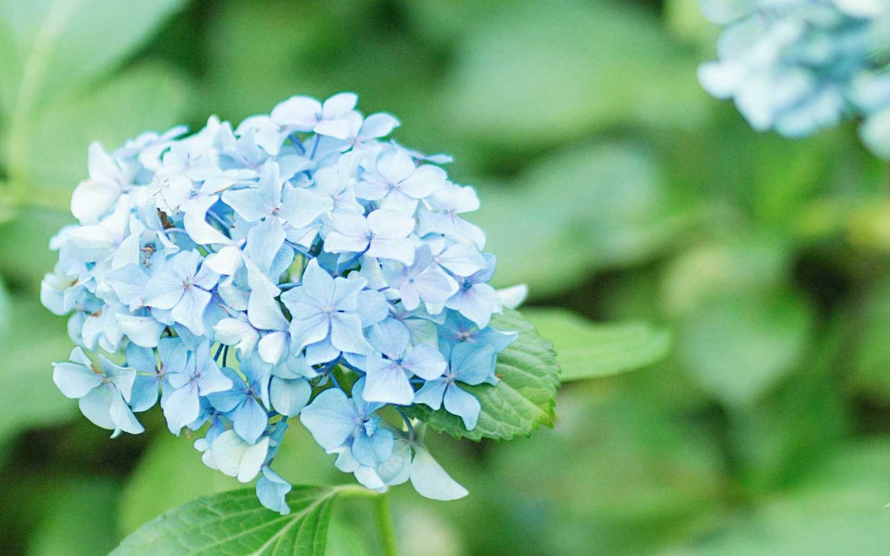 #天天励志正能量#生活或许有遗憾，要相信未来依旧美好