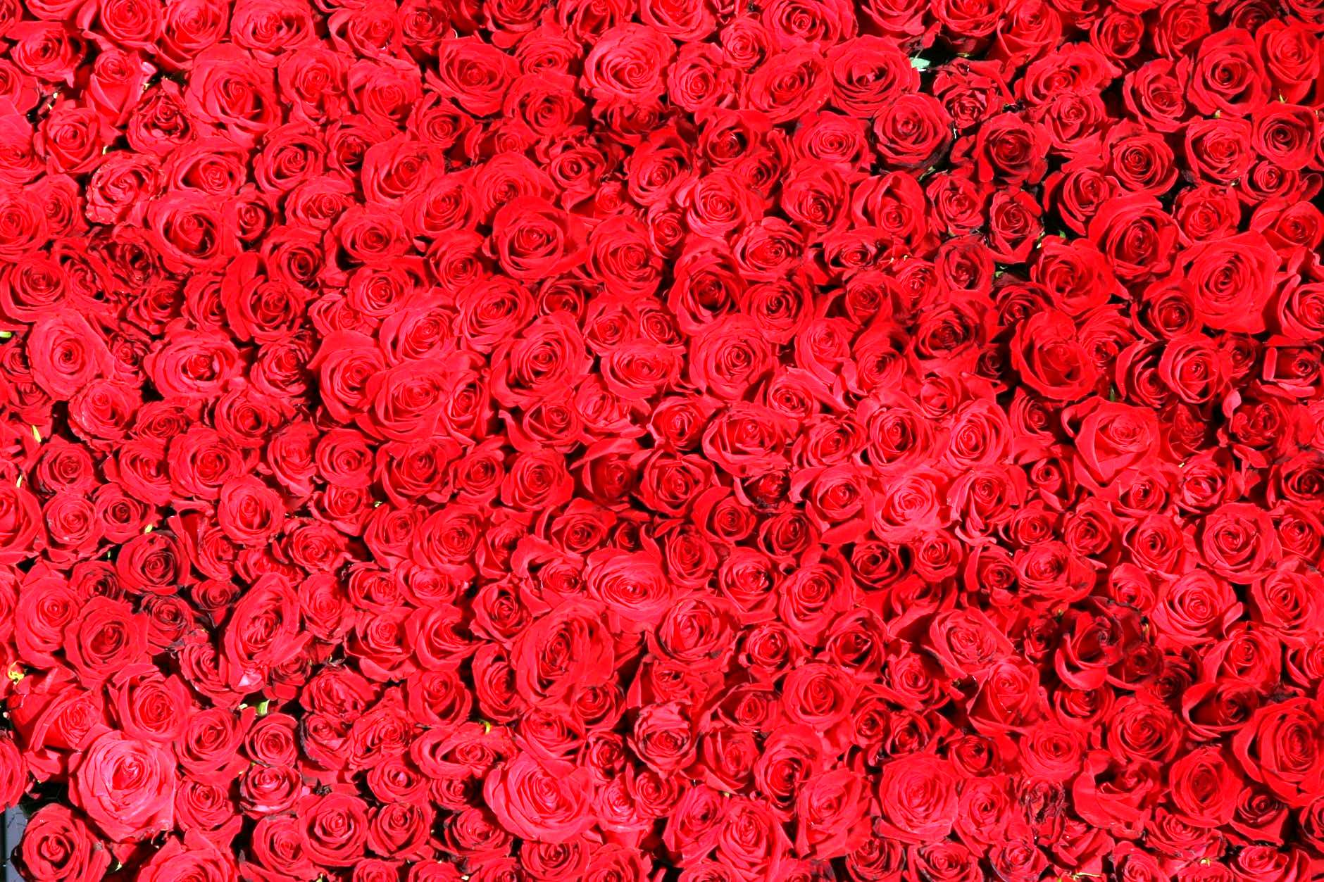 「人生阅历分享」富含深刻道理的感悟短语，唯美有深意，让人百读不厌