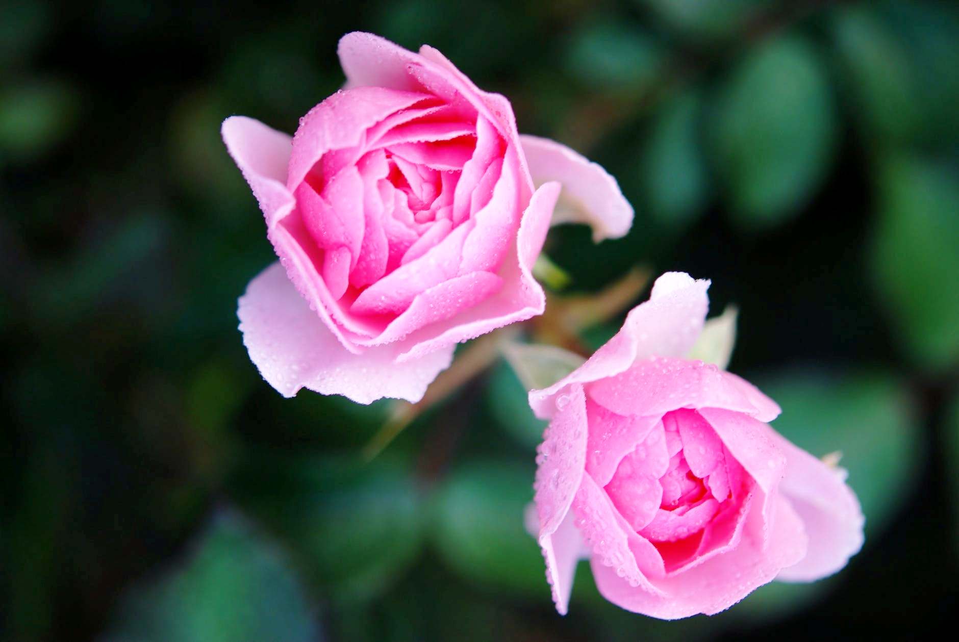 「人生阅历分享」富含深刻道理的感悟短语，唯美有深意，让人百读不厌