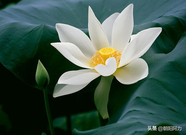 「心理观察家」这四个简短的故事，不会白读