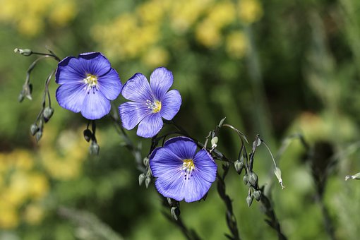 [生活万万千]精辟走心的情感个性签名，句句碰触心灵，选一句表达此时的心情