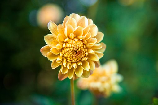 [生活万万千]精辟走心的情感个性签名，句句碰触心灵，选一句表达此时的心情