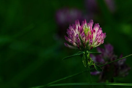 [生活万万千]精辟走心的情感个性签名，句句碰触心灵，选一句表达此时的心情