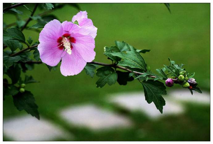 「强强联手在乐趣」适当的距离，不仅能够得到亮光，而且感到很温暖