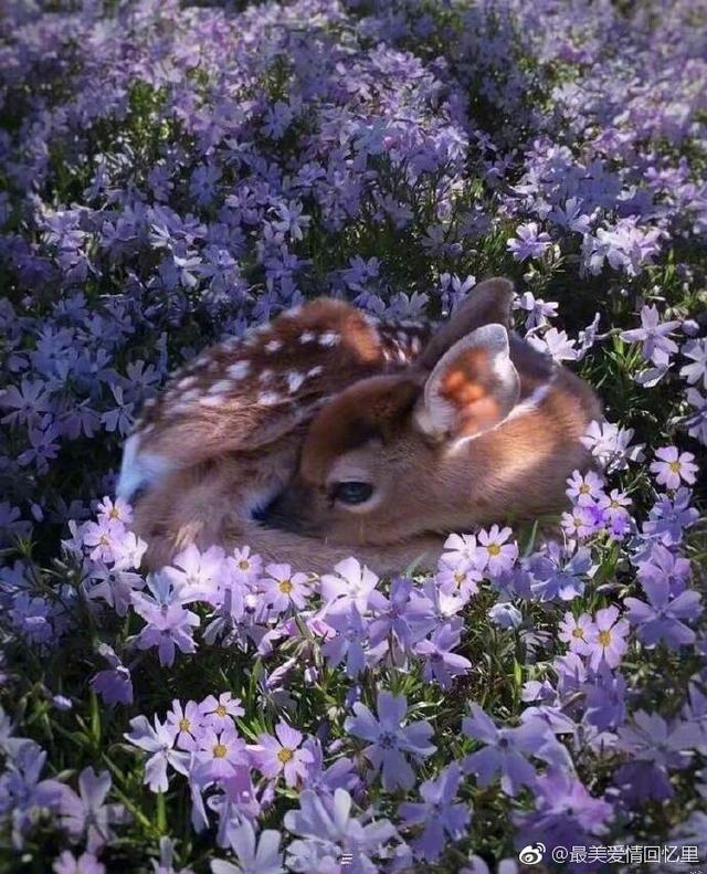 #做个快乐的小仙女6666#人人来来往往，再不信来日方长