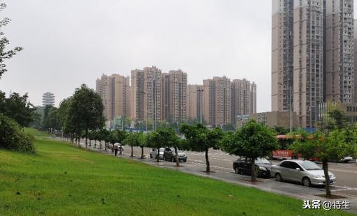 #老蒋书房#妻子送侄儿去大学报到，儿子在清华读研，独自归家