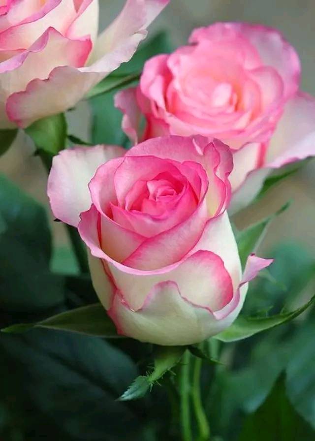 #道与欢同学#人在做，天在看，人算不如天算，谁都别算计谁！