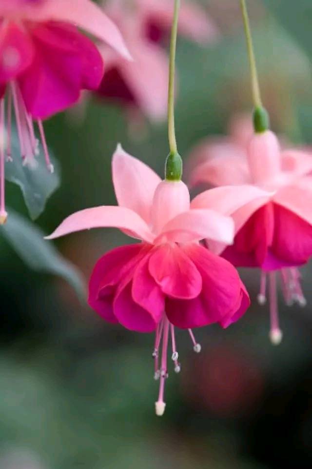 #道与欢同学#人在做，天在看，人算不如天算，谁都别算计谁！