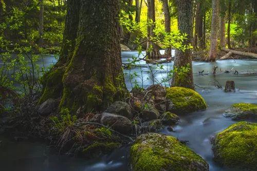 春风知雨：原谅，是一种风度，也是一种修养