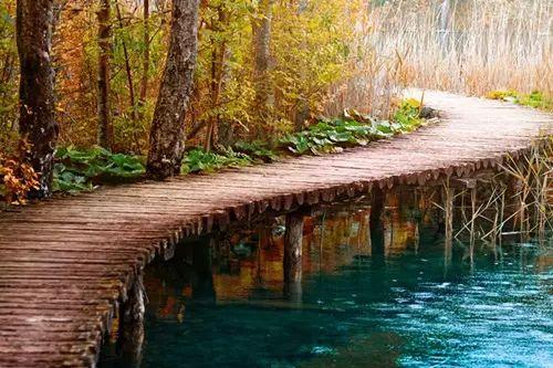 春风知雨：原谅，是一种风度，也是一种修养