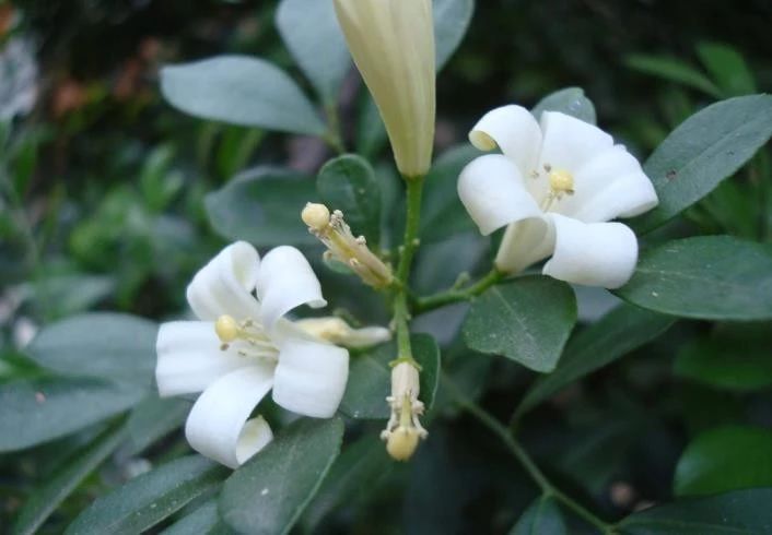 【天天励志正能量】有人过的比你强，区别就在于这些细节