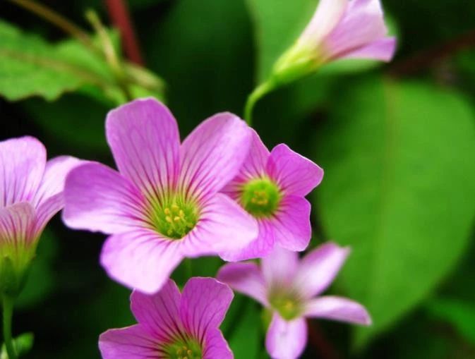 【天天励志正能量】有人过的比你强，区别就在于这些细节