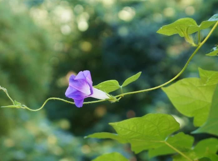 【天天励志正能量】有人过的比你强，区别就在于这些细节