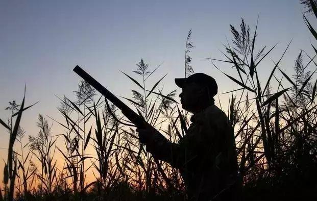 「励志司机睿睿」看淡物质，不慕名利，身心清净，活得轻松自在