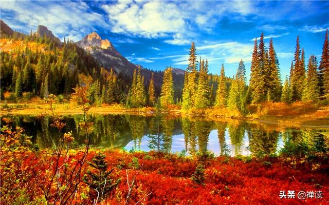 励志视频短片：今天的泪水，会是你明天的成长；今天的伤痕，会是你明天的坚强