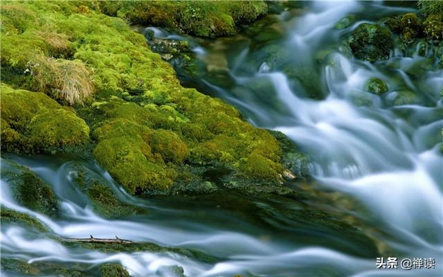 「励志焦点」如云，淡淡行走；如水，静水深流