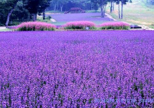 「强强联手在乐趣」成年人的生活里，其实谁都没有比谁好过多少