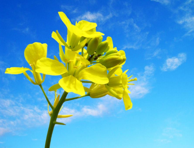 [感悟励志美文]岁月，带不走真心朋友；时间，筛选最真感情！