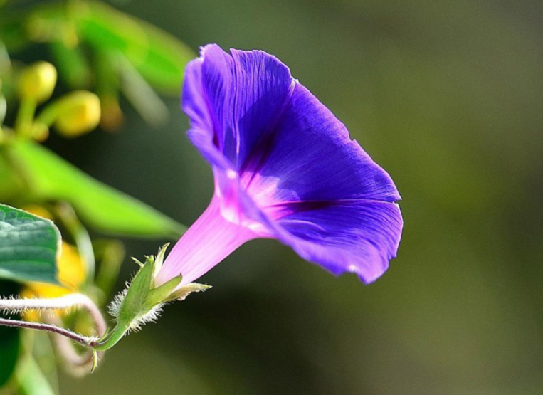 [感悟励志美文]岁月，带不走真心朋友；时间，筛选最真感情！