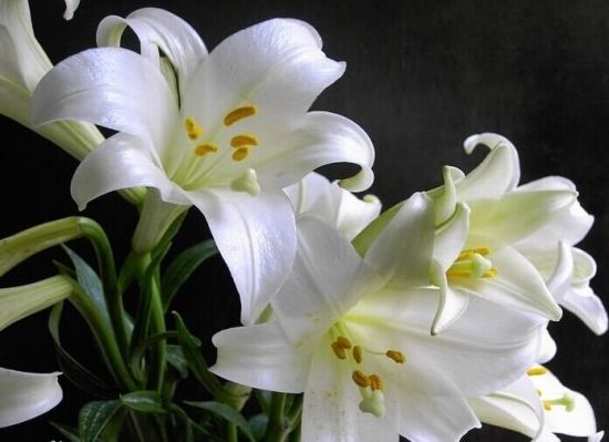 强强联手在乐趣：我们在岁月里寻找，那些曾经让自己感觉到舒服和安宁的时光