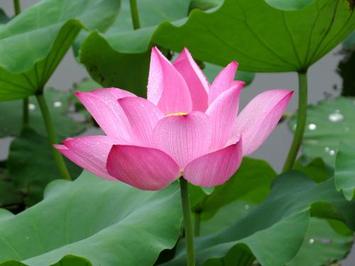 强强联手在乐趣：我们在岁月里寻找，那些曾经让自己感觉到舒服和安宁的时光