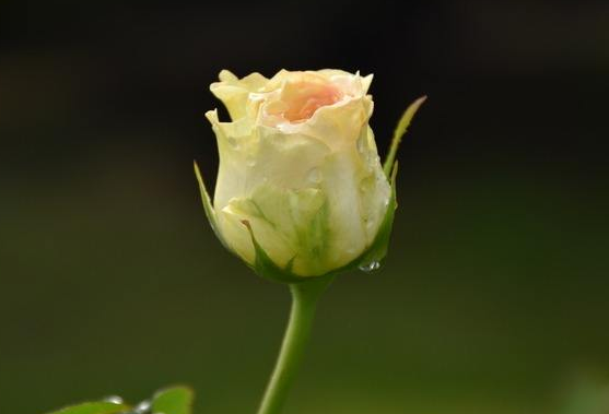 「人生励志美文」过去了，回不来！