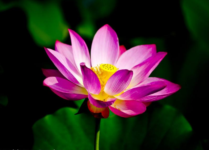 「人生励志美文」过去了，回不来！