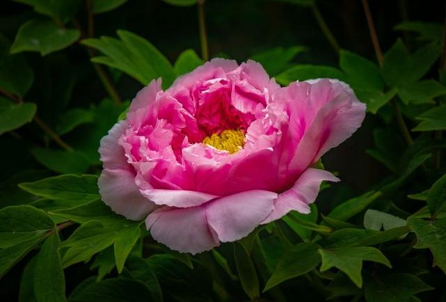 #励志的娱乐#岁月，带不走真心朋友；时间，筛选最真感情