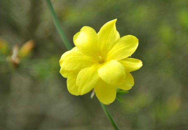 #幸福香水#感谢生命中的每个人