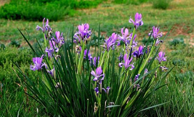 励志的娱乐■人，天地过客，一切随缘