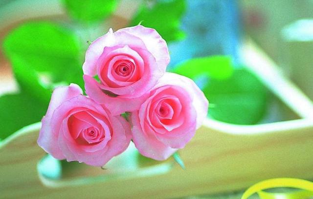 励志的娱乐■人，天地过客，一切随缘