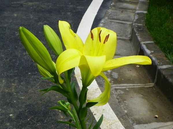 「尔与周郎辩」爷爷劝诫：人一旦是有以下的三种特质，好运就不远了，有一个也好