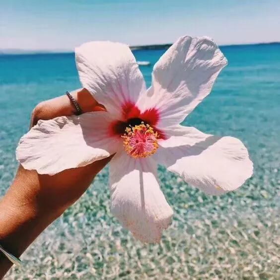 心理观察家：该忘就忘：忘年、忘病、忘形、忘争、忘愁、忘气