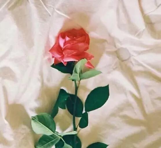 心理观察家：该忘就忘：忘年、忘病、忘形、忘争、忘愁、忘气