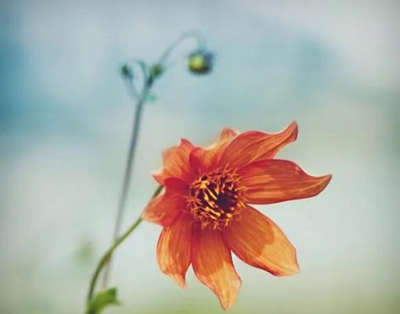 心理观察家：该忘就忘：忘年、忘病、忘形、忘争、忘愁、忘气