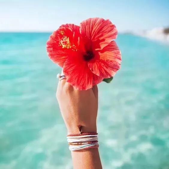 心理观察家：该忘就忘：忘年、忘病、忘形、忘争、忘愁、忘气