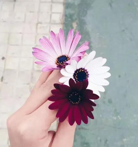 心理观察家：该忘就忘：忘年、忘病、忘形、忘争、忘愁、忘气