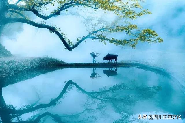 心理观察家■中国人一定要知道：五伦、五常、四维、八德！