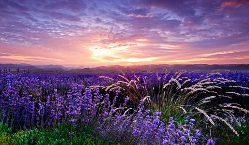 强强联手在乐趣■有人的地方就有梦想，有梦想就会有希望