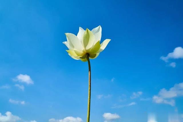 [日照高速交警]人活再累，都要一个人坚强！