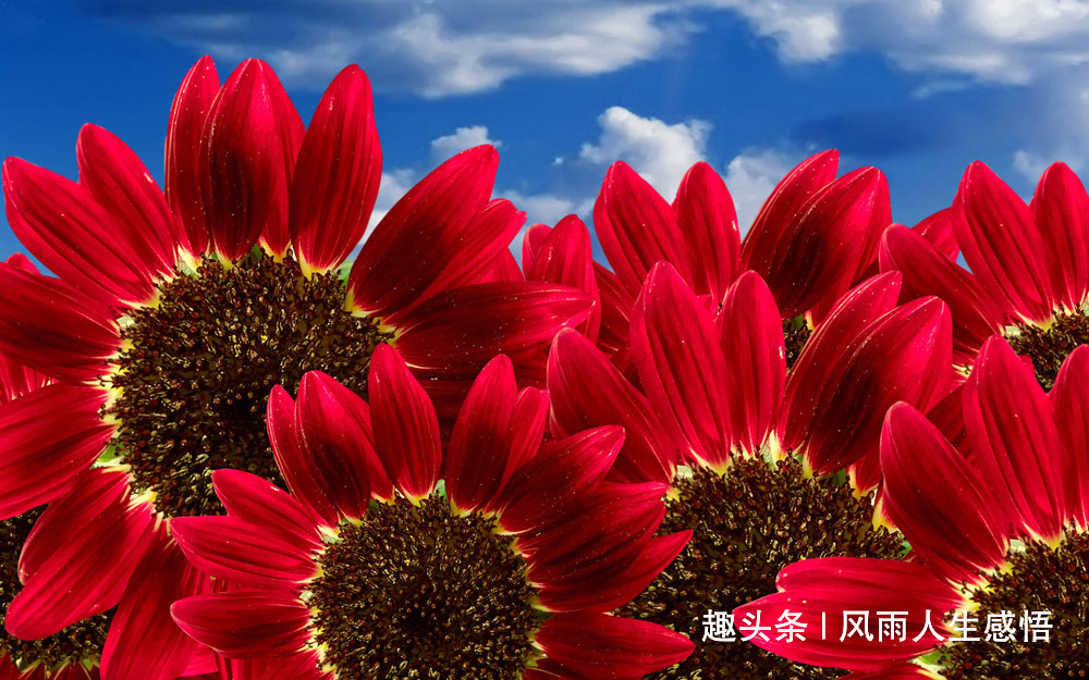 【风雨人生感悟】做个好人，一生平安！